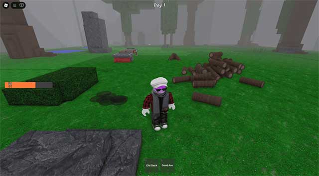 Tích trữ gỗ sớm và trồng cây chiến lược