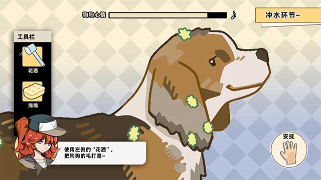 Tắm rửa, vệ sinh và chăm sóc cho từng chú chó