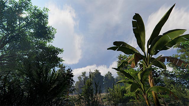 Khám phá cuộc sống Nam Mỹ xuyên suốt 4 mùa với điều kiện thời tiết luôn thay đổi