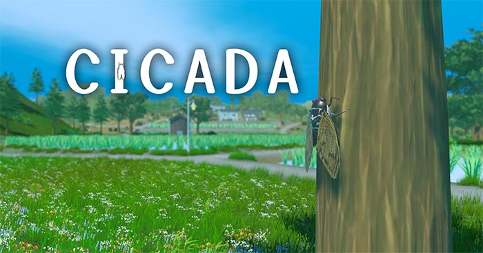 CicadaGame chú ve sầu cô đơn giữa mùa hè Nhật Bản
