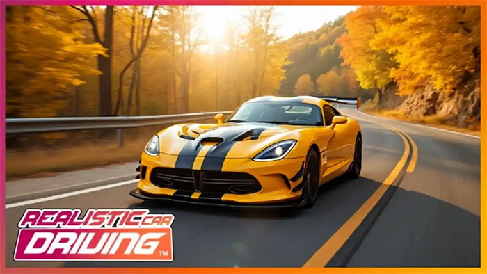 Game Realistic Car Driving