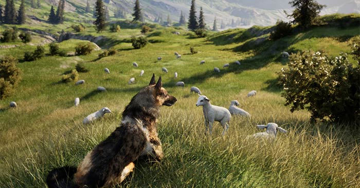 HubertGame cuộc phiêu lưu của chú chó chăn cừu