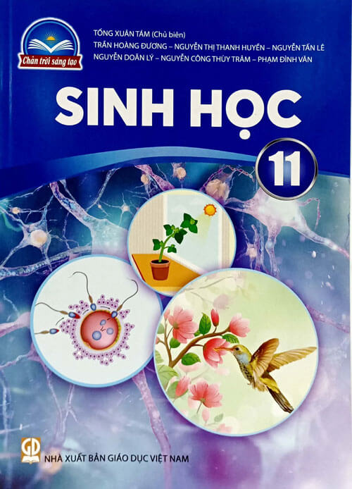 Sách Sinh học 11 Chân trời sáng tạo