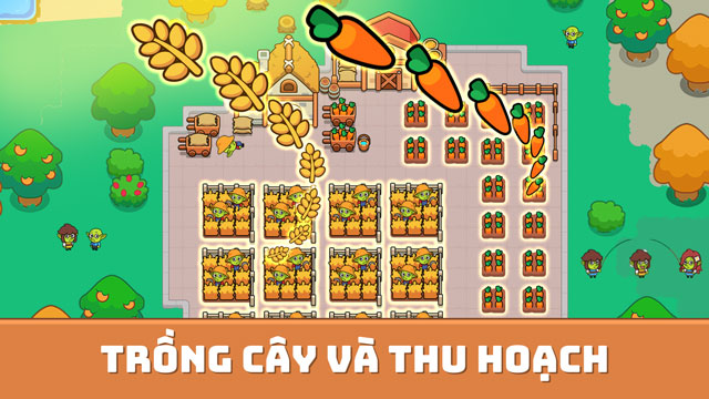 Trồng cây và thu hoạch