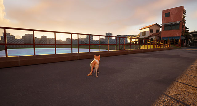 A Lost Whisker là một hành trình tìm con và báo thù cảm động