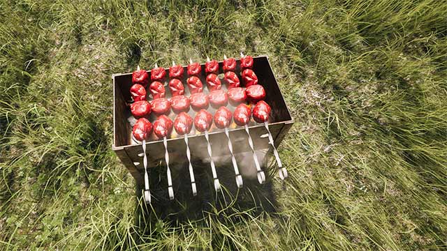 Nướng thịt, nấu ăn và rất nhiều hoạt động khác chỉ có trong DACHA game