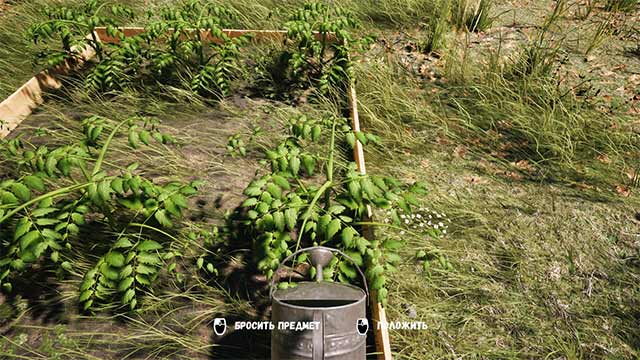 Tự tay chăm sóc những luống rau, luống hoa trong khu vườn yên tĩnh