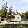 🖼️