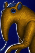 🖼️