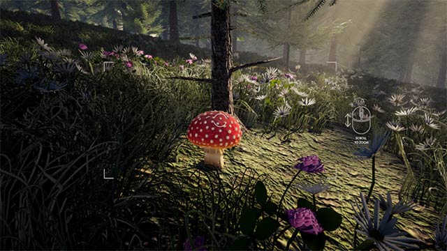 Forager's Finds là game mô phỏng hái nấm thư giãn trong khu rừng rộng lớn