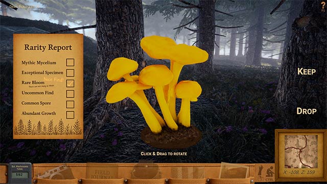 Ghi chép những loại nấm hiếm và mở rộng nhật ký ảnh cá nhân