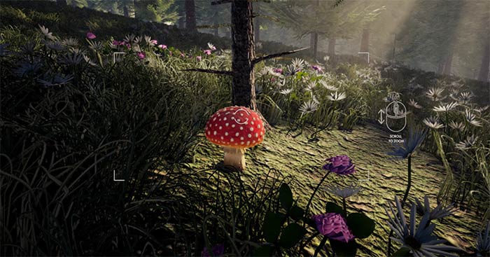 Forager's FindsGame hái nấm trong rừng