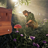 Forager's Finds