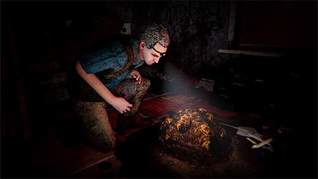 Thu thập các mẫu vật trong đêm để mang về nghiên cứu