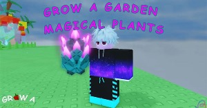 🖼️