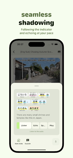 Bắt chước liền mạch