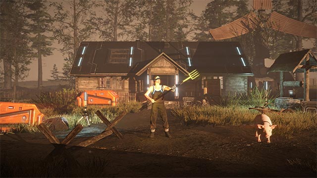 Nuôi heo mạng và nhiều loài động thực vật khác để đa dạng hóa nông trại hậu tận thế