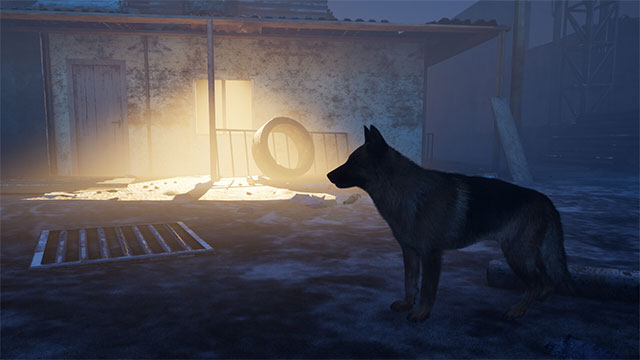 Chuyển đổi góc nhìn giữa cậu bé Billy và chú chó trung thành Tessa