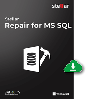 SQL Server Database Recovery