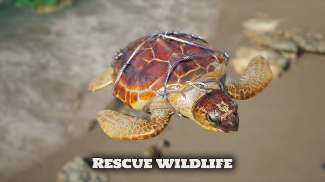 Giải cứu sinh vật biển và động vật hoang dã