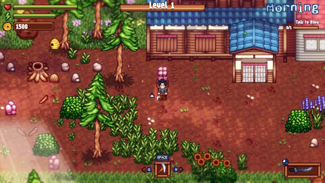 Các hoạt động trong ngày được chia theo từng giai đoạn