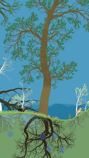 PolyPine cho bạn xây dựng khu rừng độc đáo của riêng mình