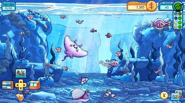 Mỗi bể mang đến bộ sưu tập cá riêng