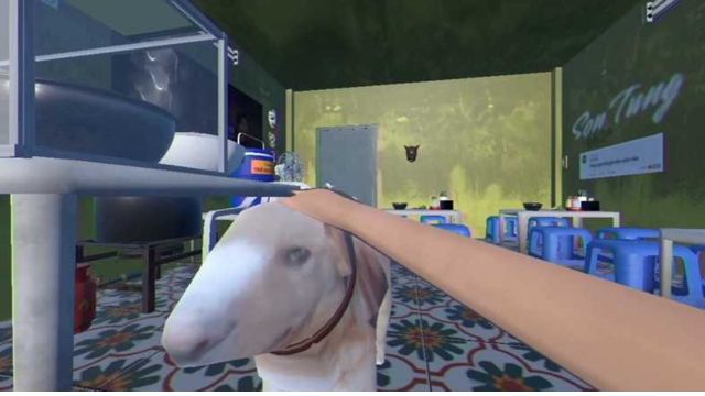 Thực hiện nhiệm vụ chăm sóc cho Cậu Vàng