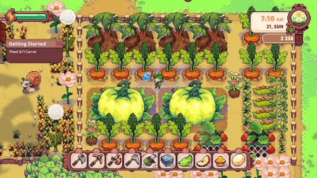 Trồng những giống cây khổng lồ và chăm sóc các sinh vật nhỏ bé