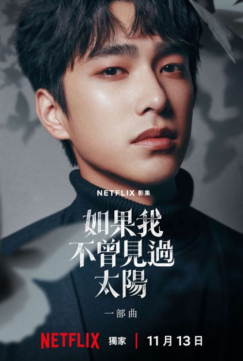 Tăng Kính Hoa trong vai Lý Nhâm Diệu 