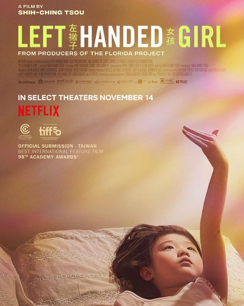 Poster phim Cô gái tay chiêu