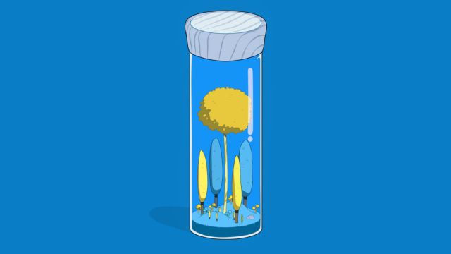 Tạo cảnh quan với bộ sưu tập item phong phú của Mysarium game