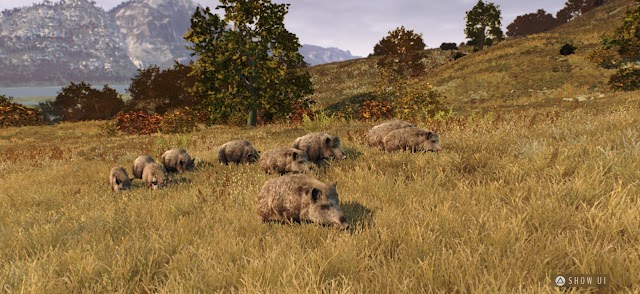 Way of the Hunter Wild Europe (WOTH Europe) là phần mới của series game mô phỏng săn bắn động vật hoang dã