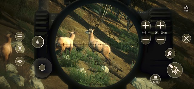  Quan sát, theo dõi, phân tích kỹ lưỡng hành vi của con thú trước khi nổ súng