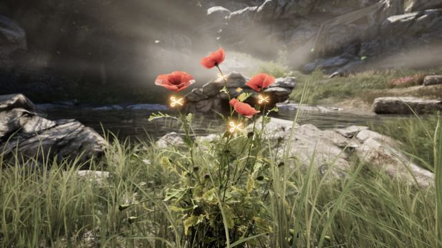 Tìm kiếm thảo dược quý hiếm, khoáng chất, nấm... để điều chế thuốc