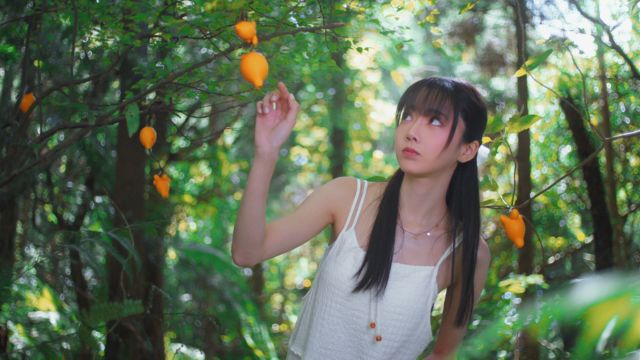 Thám hiểm hòn đảo với rất nhiều địa điểm, hoạt động và sự kiện thú vị