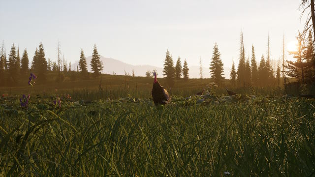 Bạn có thể săn và trưng bày các loài thú