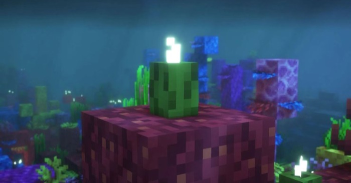 Dưa chuột biển trong Minecraft