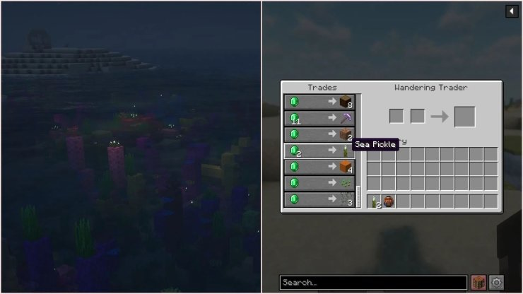 Bạn có thể trao đổi hàng để lấy dưa chuột biển trong Minecraft