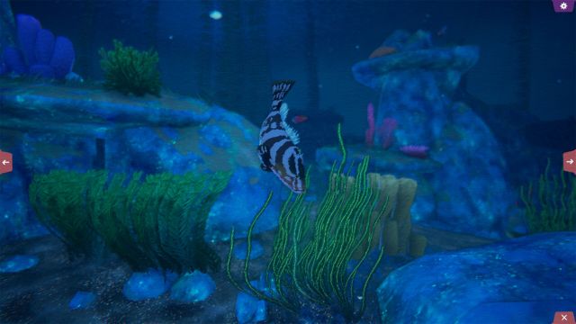 Thu hút sinh vật biển bằng giao diện bắt mắt của thế giới dưới biển