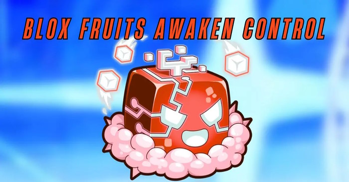 Trái Điều khiển trong Blox Fruits