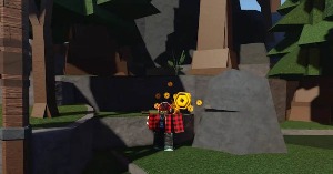 🖼️