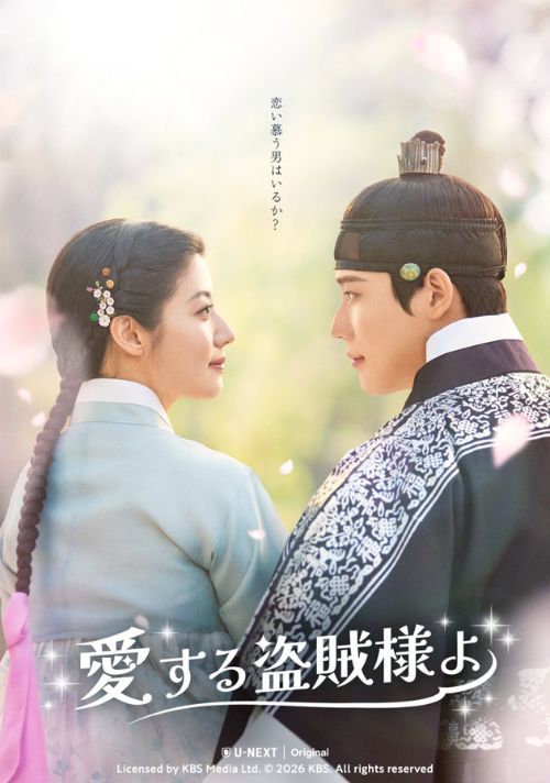 Poster phim To My Beloved Thief