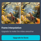 🖼️