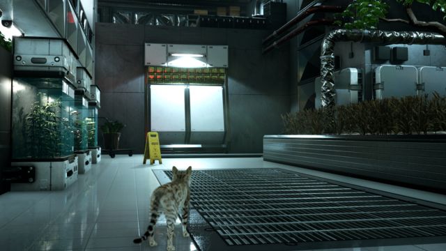 Catfall là game phiêu lưu giải đố kết hợp hành động lén lút chủ đề mèo con thám hiểm không gian