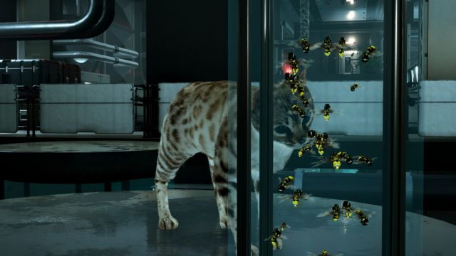 Đối mặt với những rắc rối và hỗn loạn trong khi chơi Cat Fall