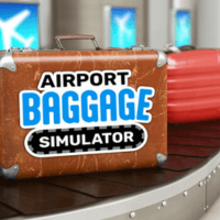 Airport Baggage Simulator