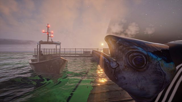 Tổng hợp mẹo chơi Umigari dành cho người mới