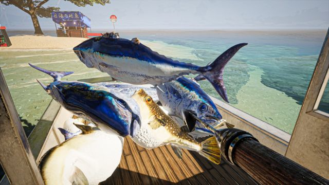 Bán cá đúng lúc để kiếm lợi nhuận tối đa và tránh rủi ro