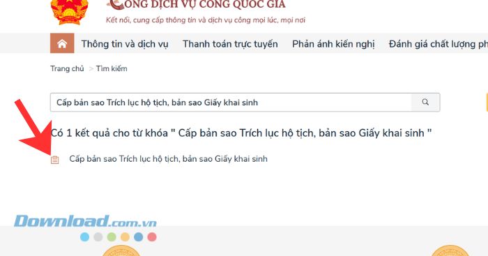 Nhập và tìm kiếm "Cấp bản sao Trích lục hộ tịch, bản sao Giấy khai sinh".